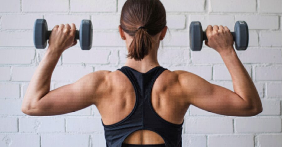 Treino Para Iniciantes